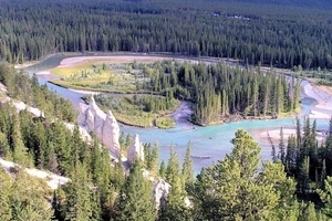 Yoho national park